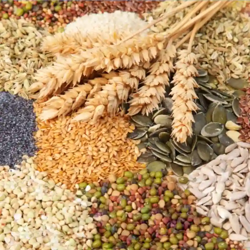 Other Seeds
